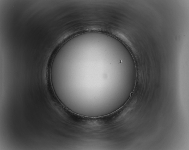 X0000088050439200705251325