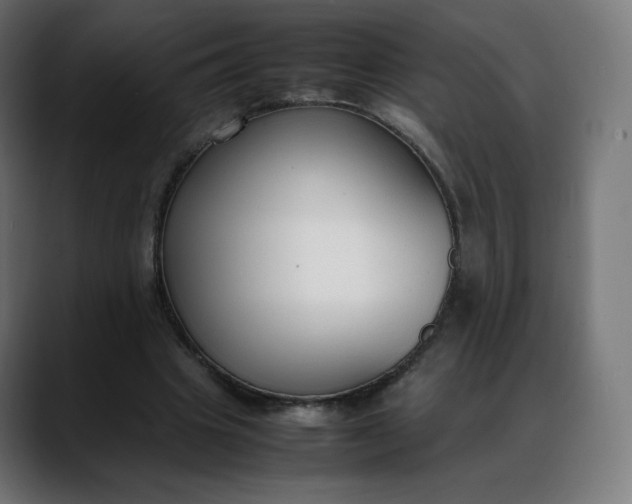 X0000088050441200705251325