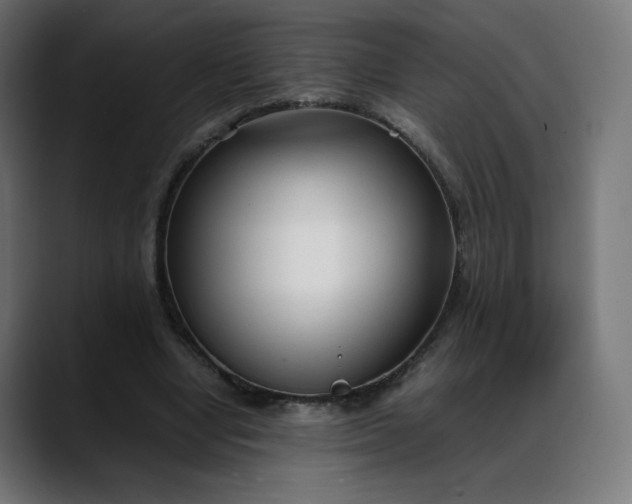 X0000088050442200705251325