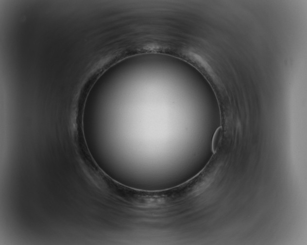X0000088050443200705251325
