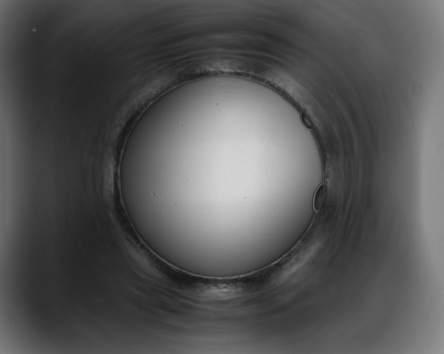 X0000088050445200705251325