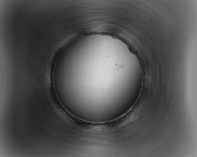 X0000088050446200705251325