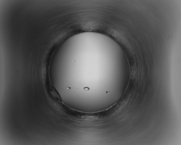 X0000088050448200705251325