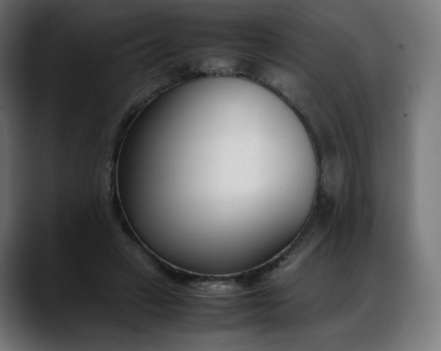 X0000088050449200705251325