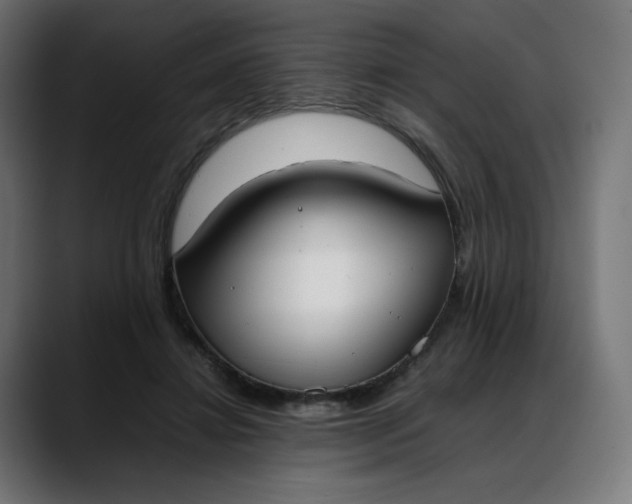 X0000088050452200705251325
