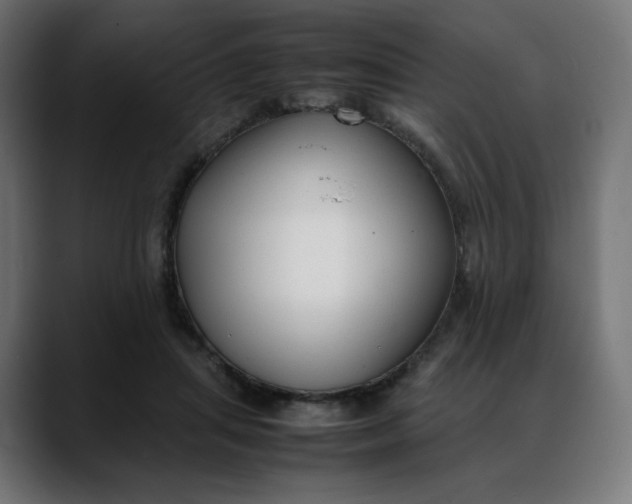 X0000088050455200705251325