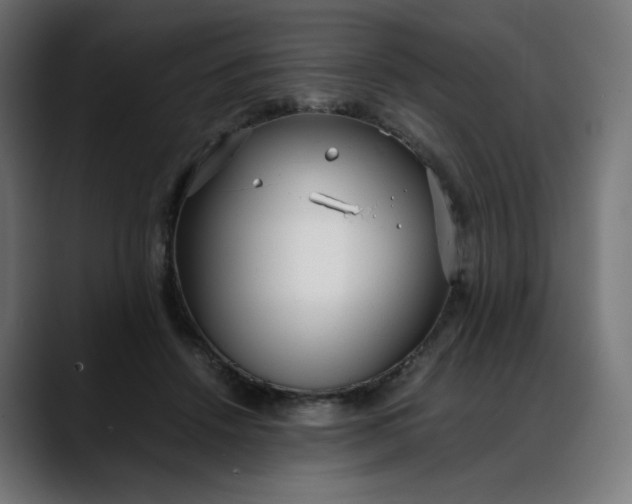 X0000088050456200705251325