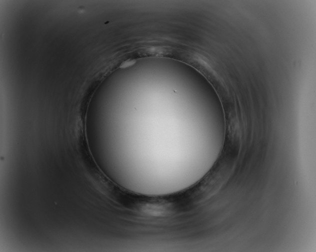 X0000088050459200705251325