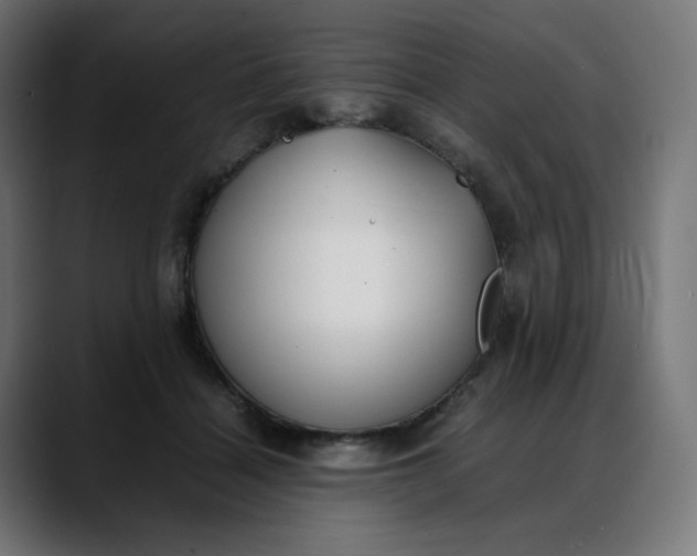 X0000088050460200705251325