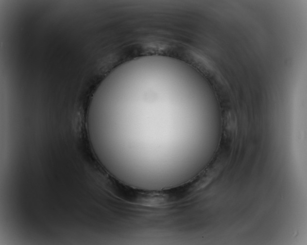 X0000088050463200705251326