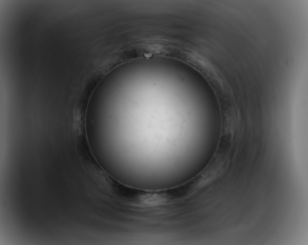 X0000088050465200705251326