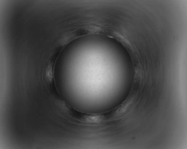 X0000088050479200705251326