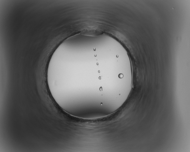 X0000088050481200705251325
