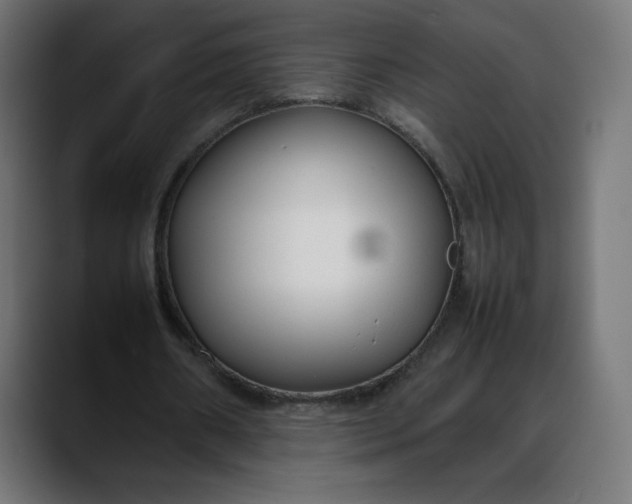 X0000088050482200705251325