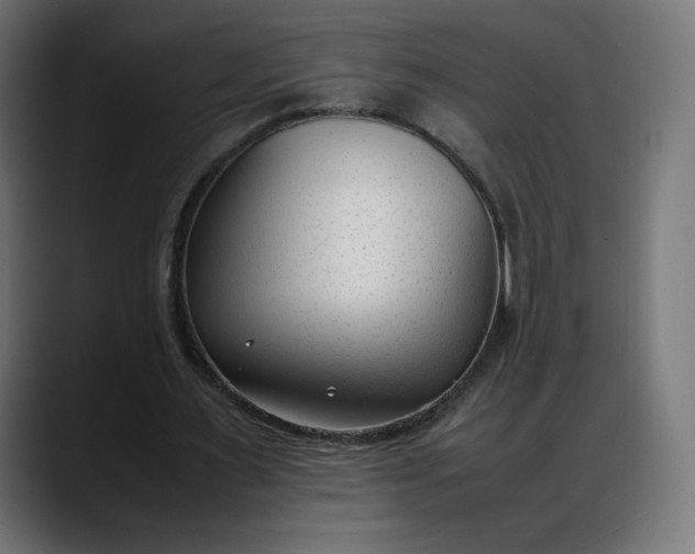 X0000088050483200705251325