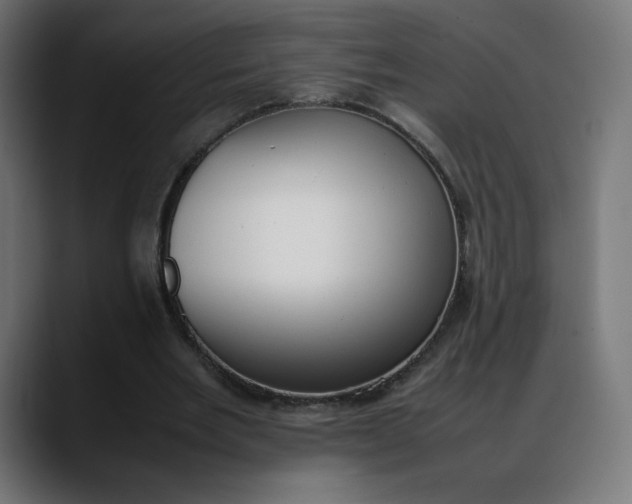 X0000088050485200705251325