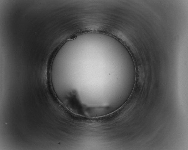 X0000088050486200705251325