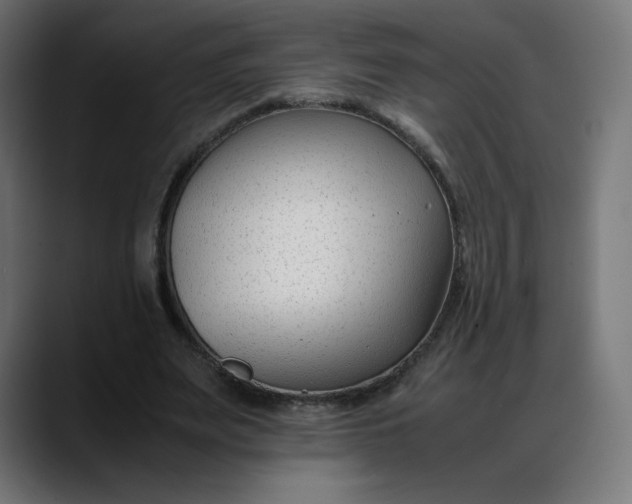 X0000088050487200705251325