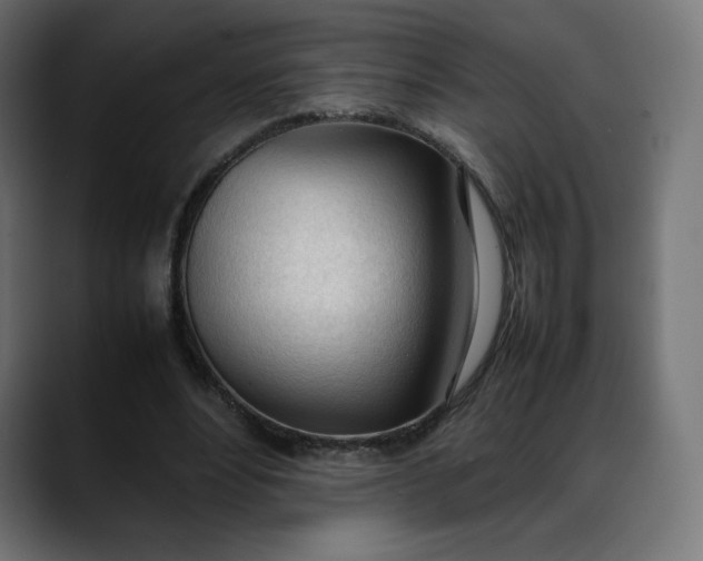 X0000088050488200705251325