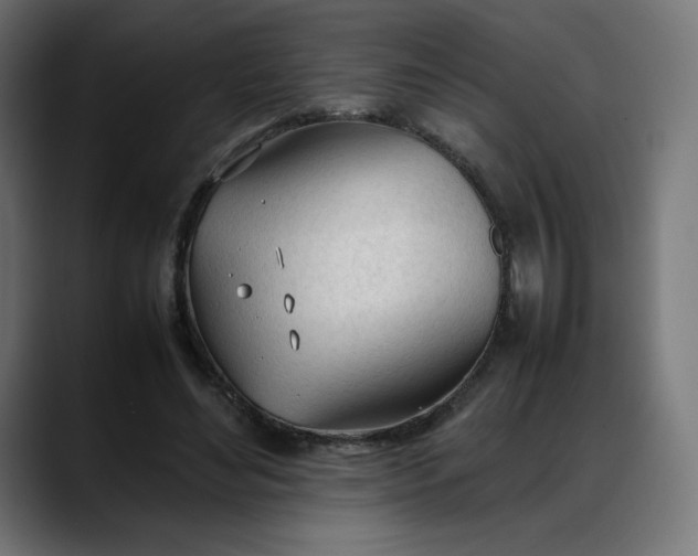 X0000088050492200705251325