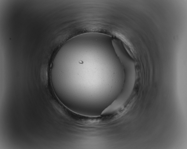 X0000088050493200705251325