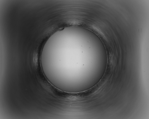 X0000088050494200705251325