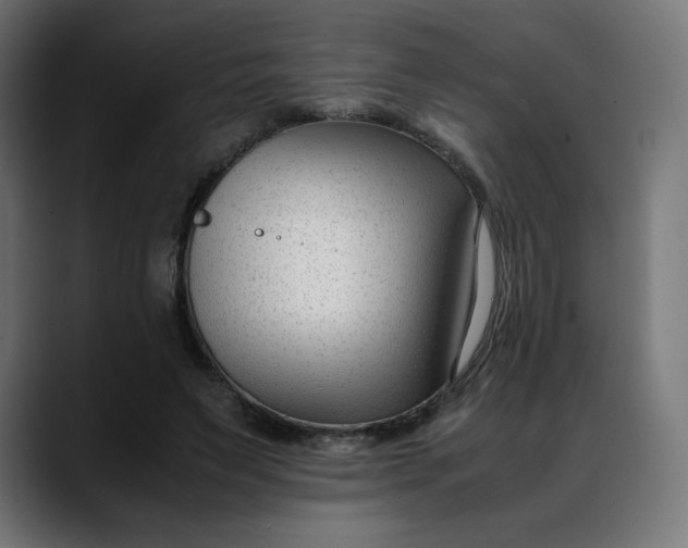 X0000088050495200705251325