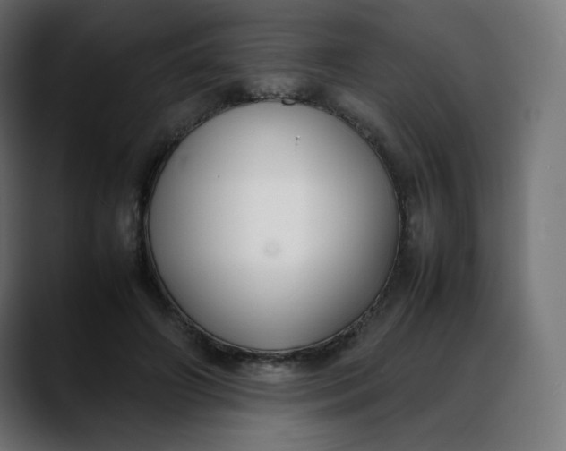 X0000088050498200705251325
