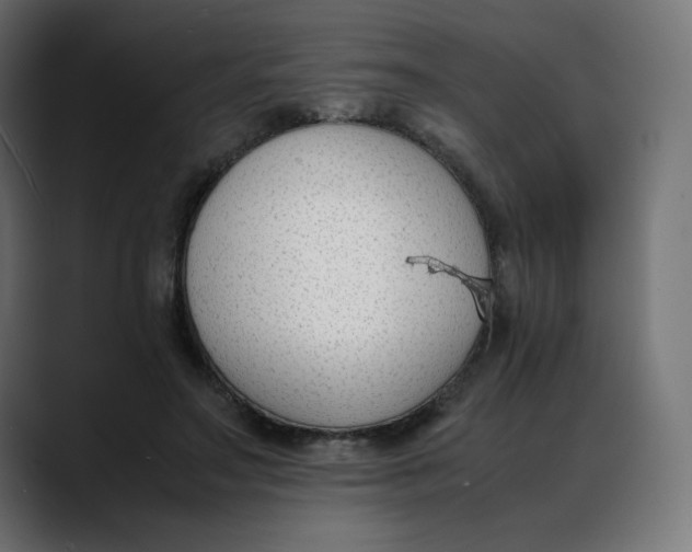X0000088050499200705251325