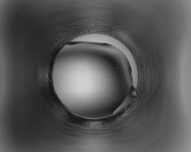 X0000088050501200705251325
