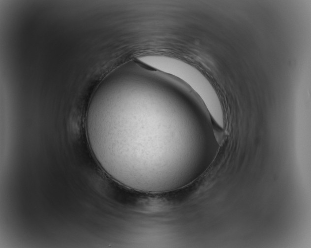 X0000088050503200705251325