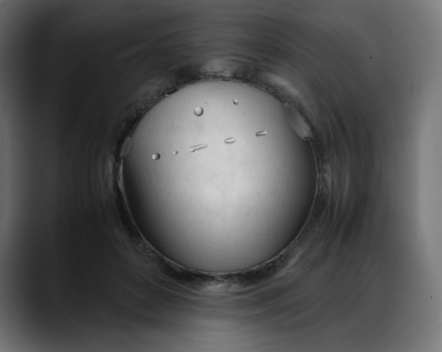 X0000088050504200705251325