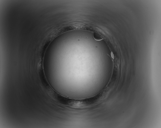X0000088050507200705251325