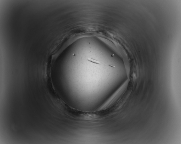 X0000088050512200705251325