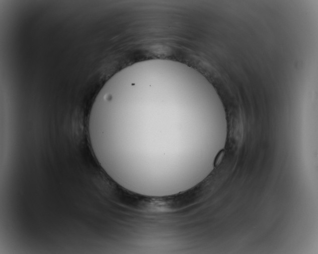 X0000088050518200705251325