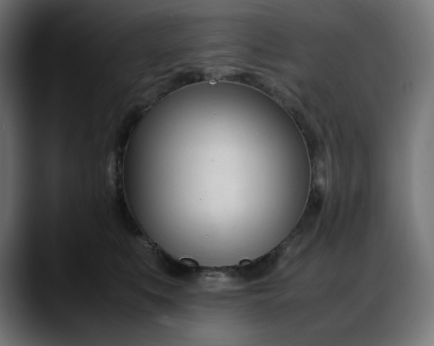 X0000088050519200705251325