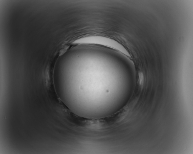 X0000088050524200705251325