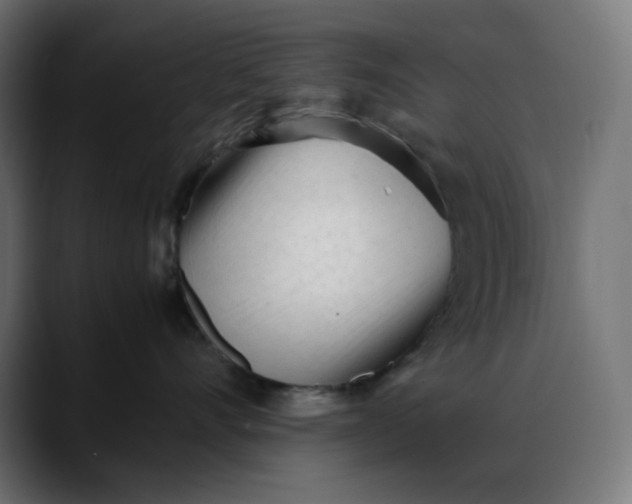 X0000088050528200705251325