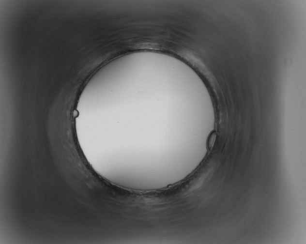 X0000088050529200705251324
