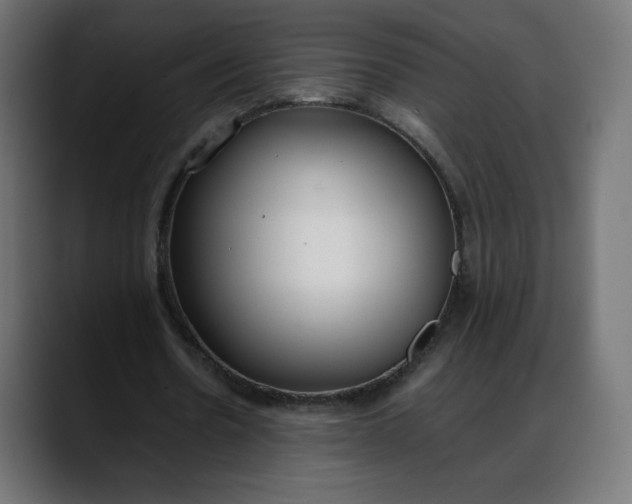 X0000088050530200705251324