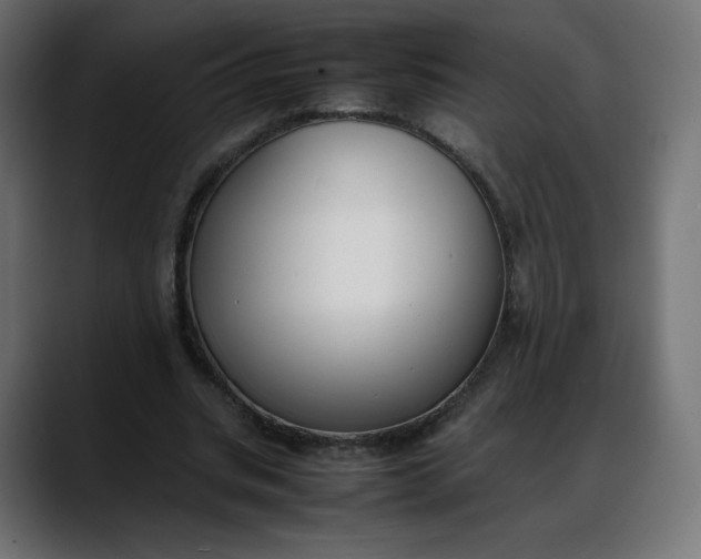 X0000088050535200705251324