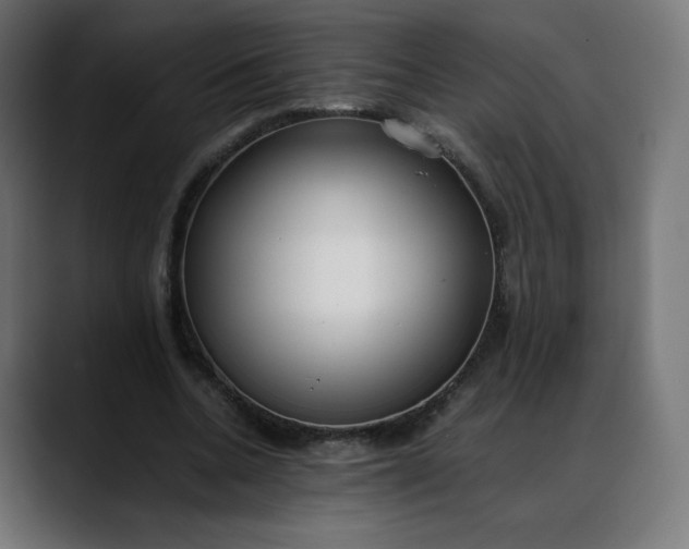 X0000088050536200705251324