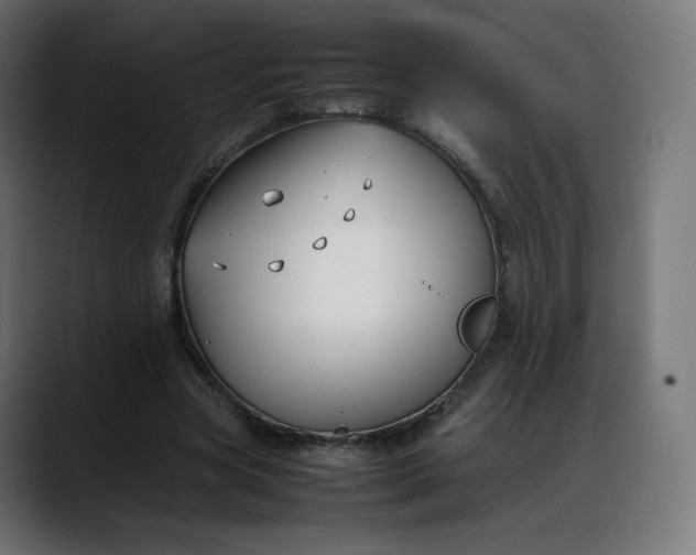 X0000088050537200705251324