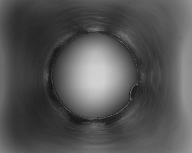 X0000088050539200705251324