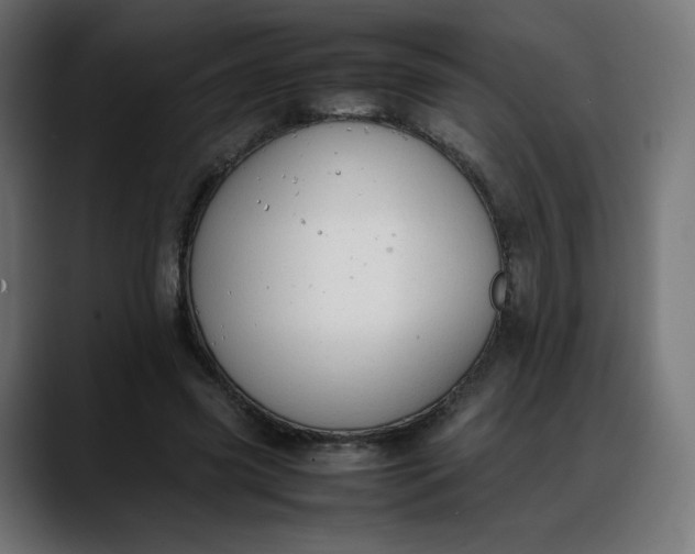 X0000088050541200705251324