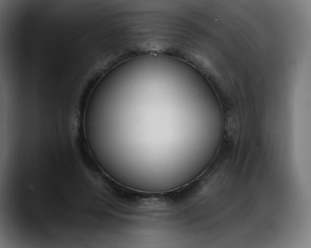X0000088050544200705251324