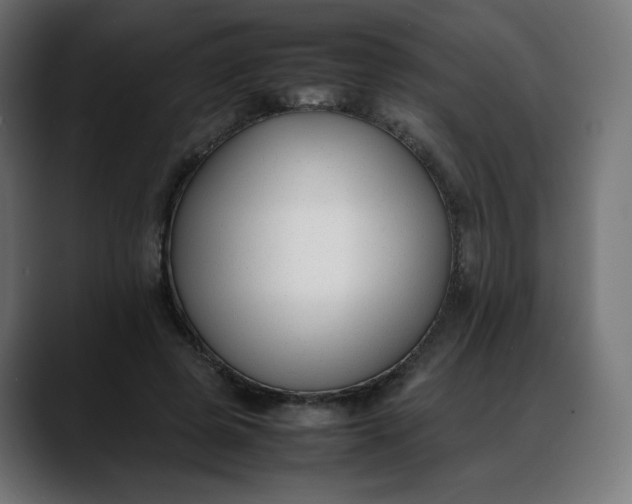 X0000088050545200705251324