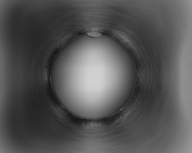 X0000088050546200705251324