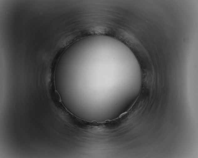 X0000088050548200705251324