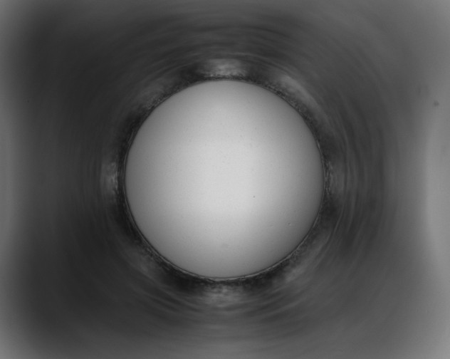 X0000088050549200705251324
